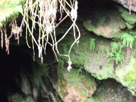 otta Intraleo-20100515 028